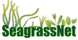 SeagrassNet Logo
